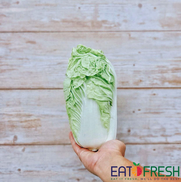 Cabbage Napa (Yuan Xiao Bai) - 1 pc - Eat Fresh SG