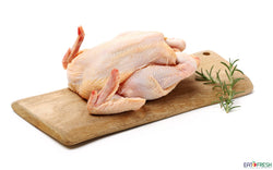 Fresh Old Hen Chicken (Whole) 新鲜老母鸡 - 1.2kg~1.4kg