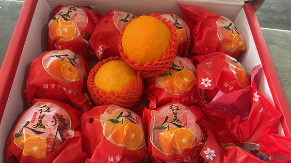 Red Beauty Hong Mei Ren Mandarin Orange (红美人) - 11/12 pcs