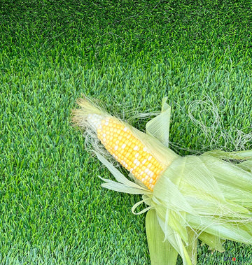Corn (Bi-Colour) 黄白玉米 #AA/AAAsize