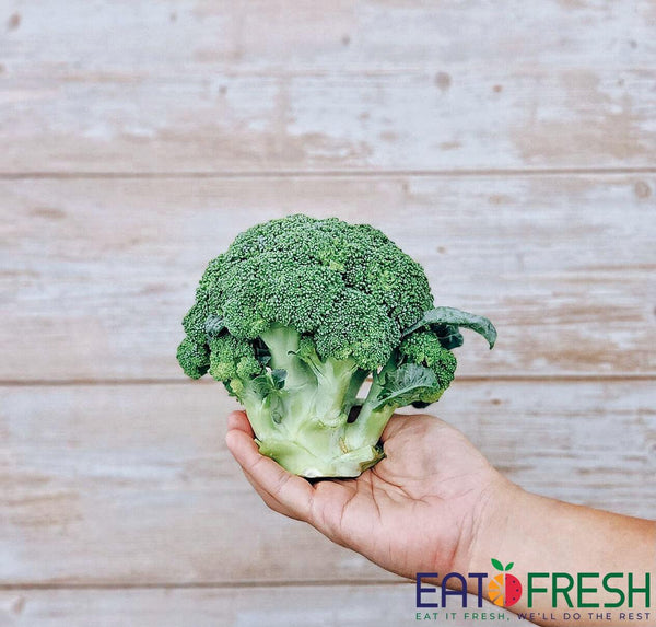Broccoli - 200g~250g per pc - Eat Fresh SG