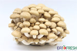 Shimeiji Mushroom (Brown) - 150g per pack - Eat Fresh SG