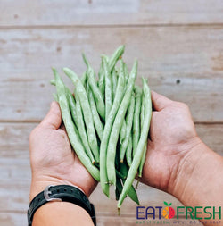 French Beans 四季豆 - 500g per pack