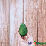 Avocado (Hass) - Eat Fresh SG