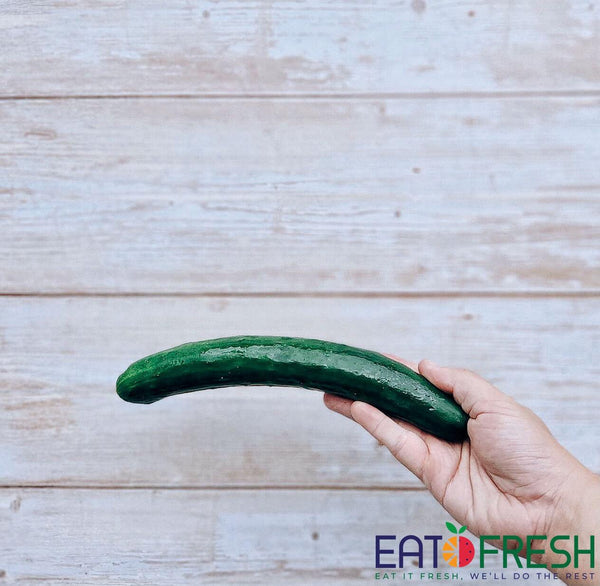 Cucumber - 1 kg - Eat Fresh SG