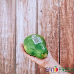 Papaya (Solo) XL Dole/Prime - Pack of 3 - Eat Fresh SG