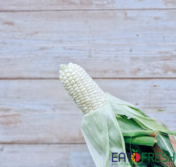 Corn (White) - Eat Fresh SG