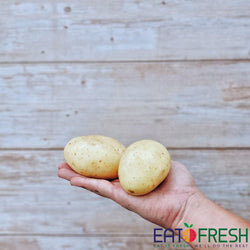 Potato (White Washed) 马铃薯（白）- 1 kg