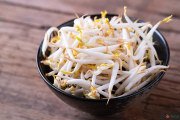 Bean Sprouts 豆芽 - 300g per pack