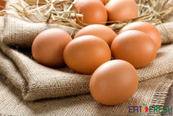 Fresh Eggs - 10pcs per pack #large size