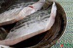Fresh Batang (Spanish Mackerel) 巴丹鱼 (马鲛鱼排)