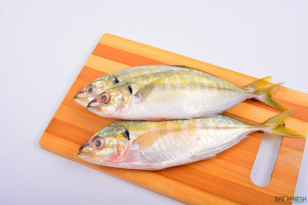 Fresh Yellowtail Fish 黄尾 - 500g~700g